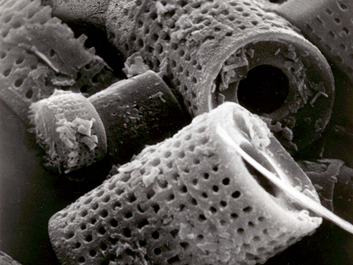 Filter media and functional additives